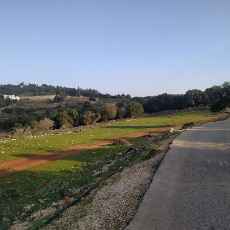 Апартаменты Benichuta Mitzpe Hila Экстерьер фото